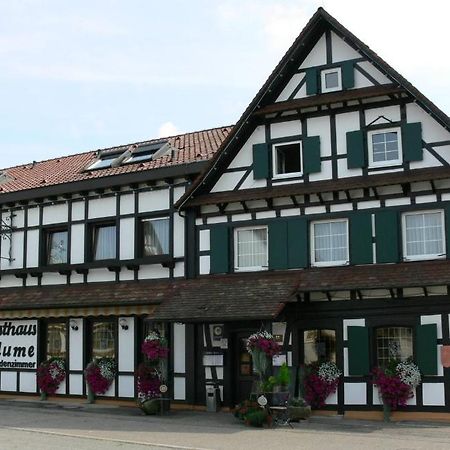 Hotel Landgasthof Blume Lichtenau  Bagian luar foto